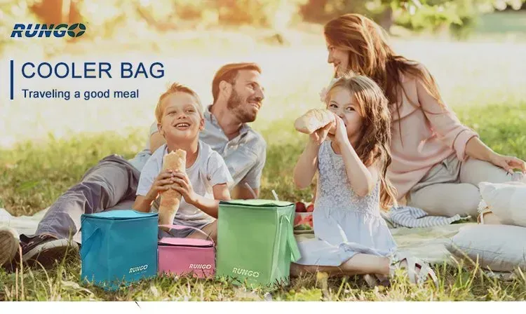 Wholesale Fashionable Durable Pouch Tote Promotional Cake Food Insulated Pp Non Woven Cooler Bag -   ICER-2001 - Detail