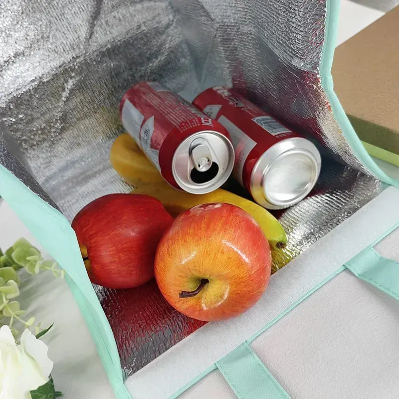 Wholesale Fashionable Durable Pouch Tote Promotional Cake Food Insulated Pp Non Woven Cooler Bag -   ICER-2001