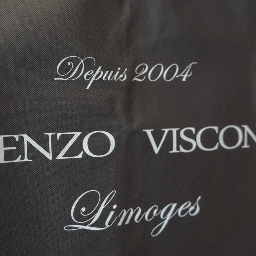 Custom printing dust suit bag for suit shop - SC23R001